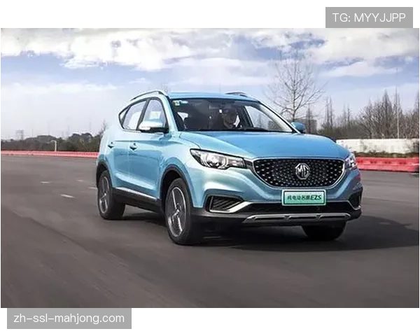 德国足协与一家中国新能源车企达成新赞助协议